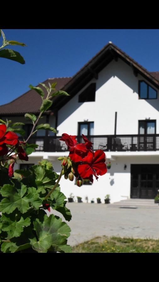 Отель Casa Poienarilor Сымбэта-де-Сус Экстерьер фото